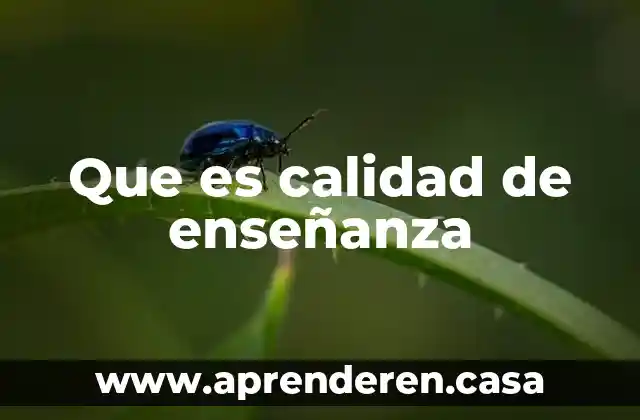 Que es calidad de enseñanza