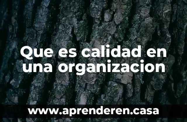 Que es calidad en una organizacion