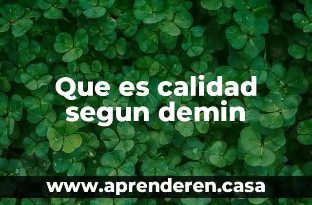 Que es calidad segun demin