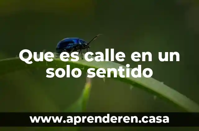 Que es calle en un solo sentido