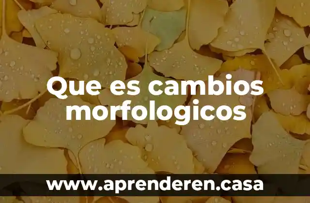 Que es cambios morfologicos