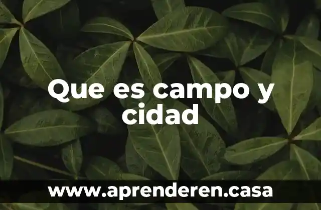 Que es una bobinas de campo en un motor universal 8 Que es campo y cidad