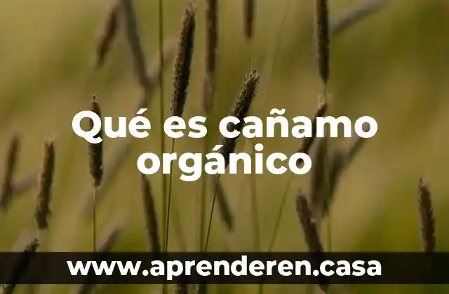 Que es organico funcional 3 Qué es cañamo orgánico