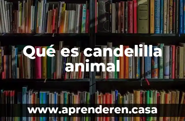 Qué es candelilla animal