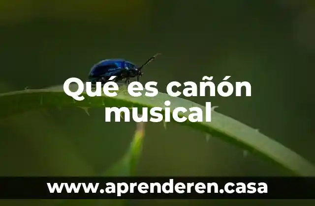 Que es ambiente musical 7 Qué es cañón musical