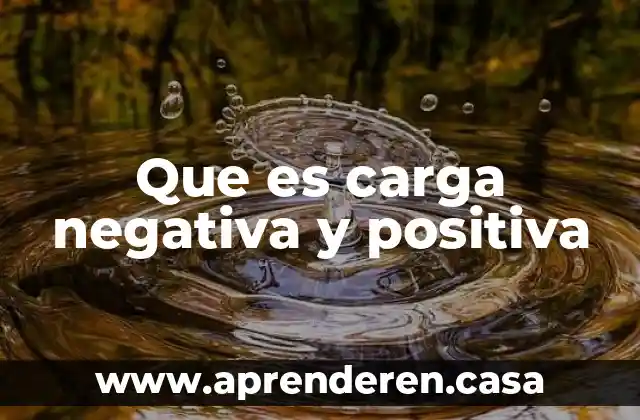 Que es carga negativa y positiva