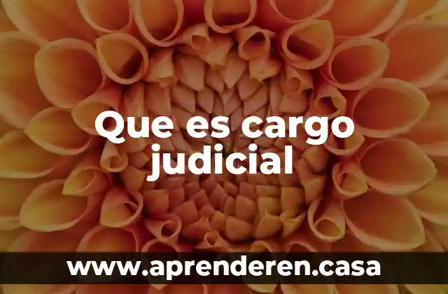 Que es cargo judicial