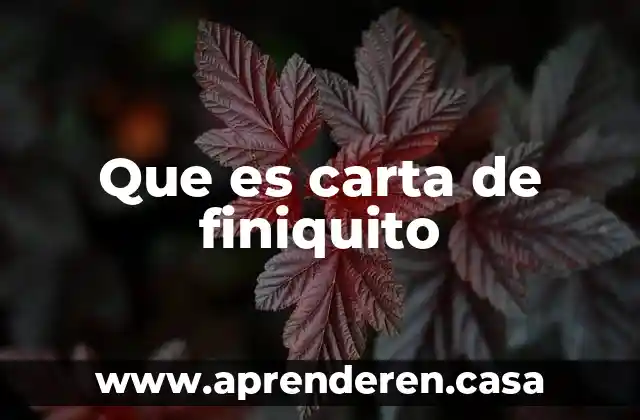 Que es carta de finiquito