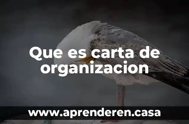 Que es carta de organizacion
