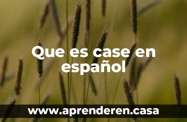 Herramientas case que es 3 Que es case en español