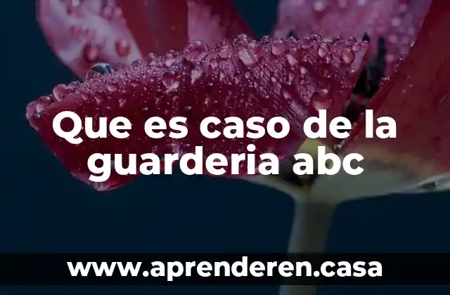 Que es caso de la guarderia abc