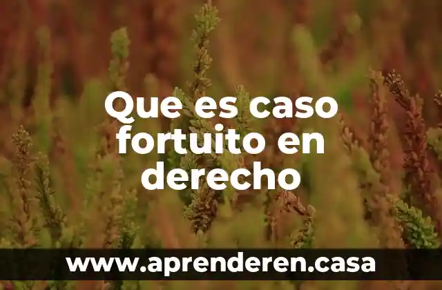 Que es caso fortuito en derecho