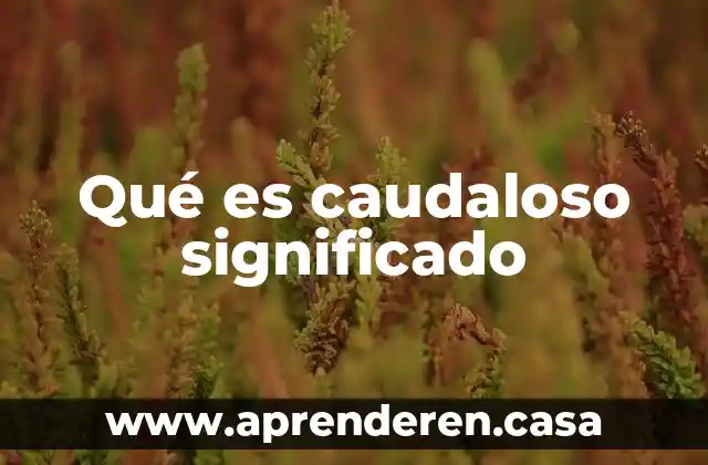 Qué es caudaloso significado
