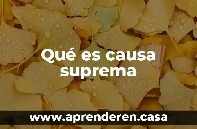 Qué es causa suprema