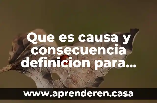 Que es causa y consecuencia definicion para niños