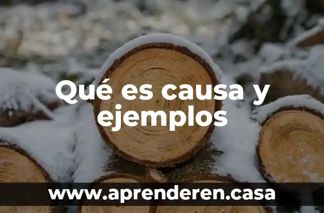 Qué es causa y ejemplos