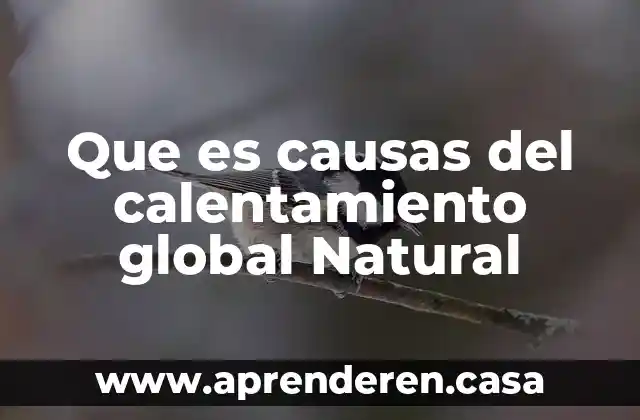 Que es causas del calentamiento global Natural