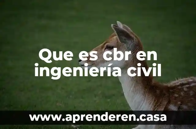 Qué es una sociedad responsabilidad civil 5 Que es cbr en ingeniería civil