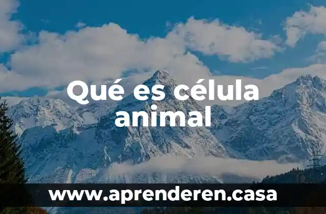 Qué es célula animal