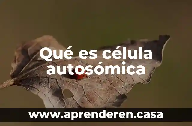 Qué es célula autosómica