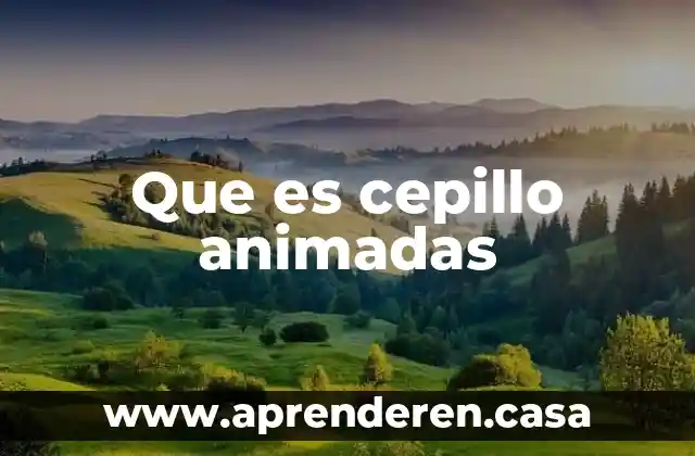 Que es cepillo animadas