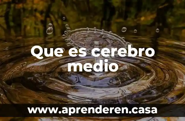 Que es un medio de inconformidad 6 Que es cerebro medio