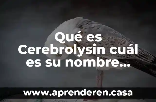 Qué es Cerebrolysin cuál es su nombre genérico