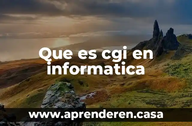 Que es dfd en informatica 4 Que es cgi en informatica