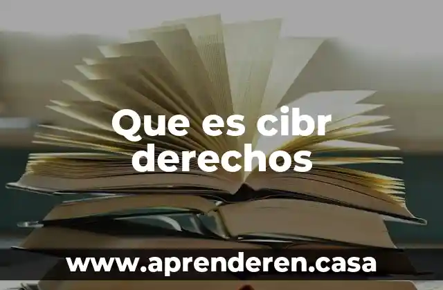 Que es perspectiva de genero derechos humanos 4 Que es cibr derechos