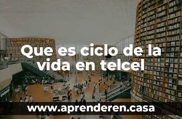 Que es ciclo de la vida en telcel