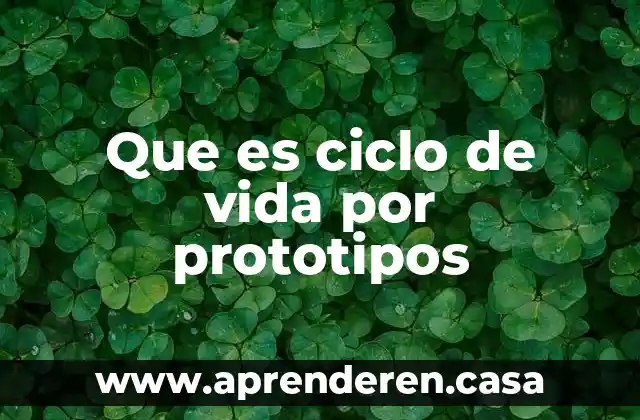 Que es ciclo de vida por prototipos
