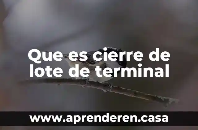 Que es cierre de lote de terminal