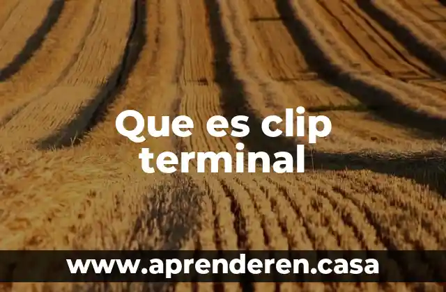 Que es clip terminal