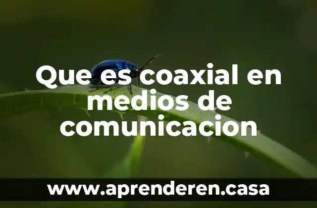 Que es coaxial en medios de comunicacion
