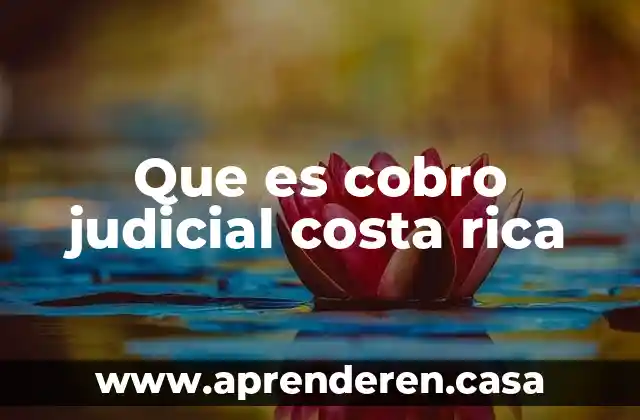 Que es cobro judicial costa rica