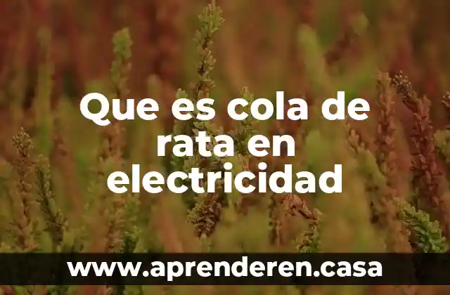 Que es la electricidad prezi 4 Que es cola de rata en electricidad