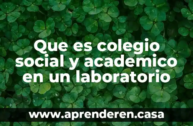 Que es colegio social y academico en un laboratorio