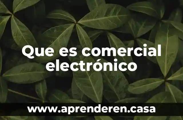 Que es una empresa comercial de autoservicio 7 Que es comercial electrónico