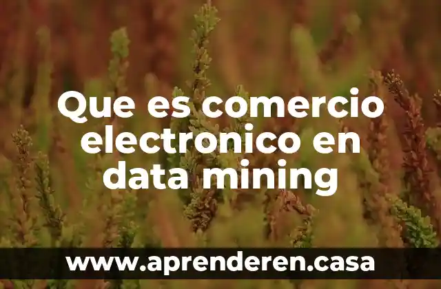 Que es comercio electronico en data mining
