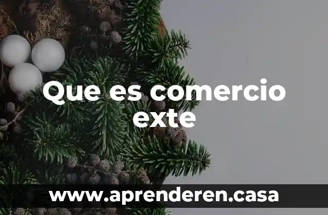 Qué es un bl comercio exterior 5 Que es comercio exte