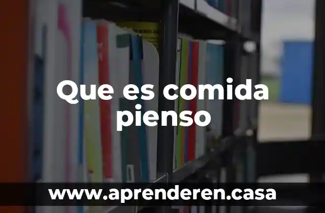 Que es comida pienso