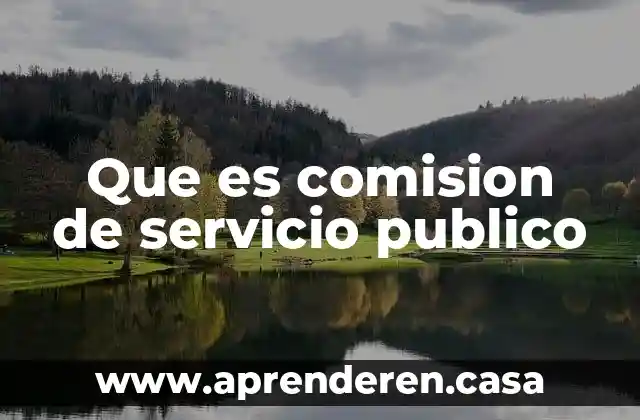 Que es comision de servicio publico