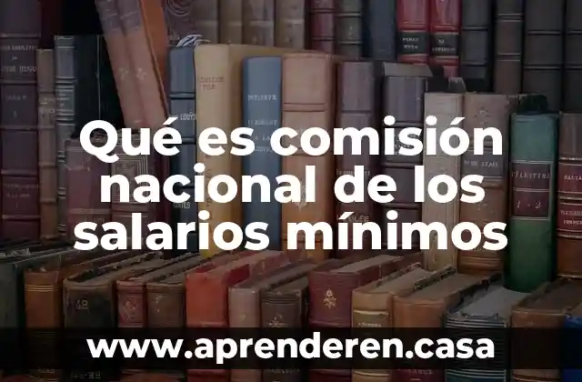Qué es comisión nacional de los salarios mínimos