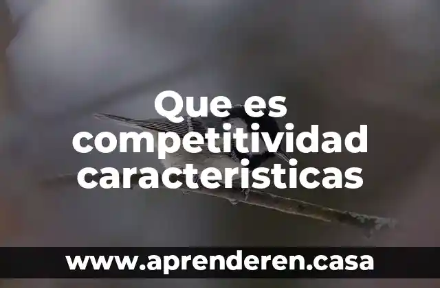 Que es competitividad caracteristicas
