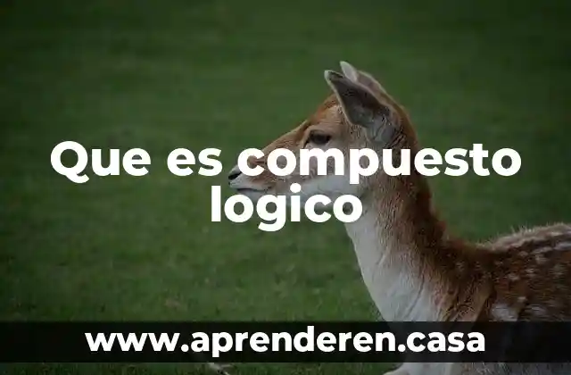 Que es compuesto logico