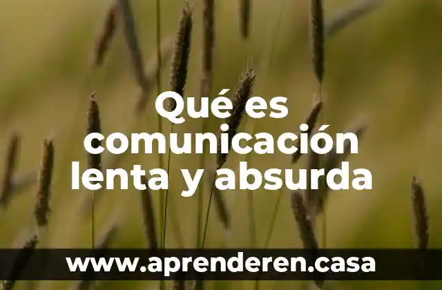 Que es la puntuacion en lenguaje y comunicacion 5 Qué es comunicación lenta y absurda