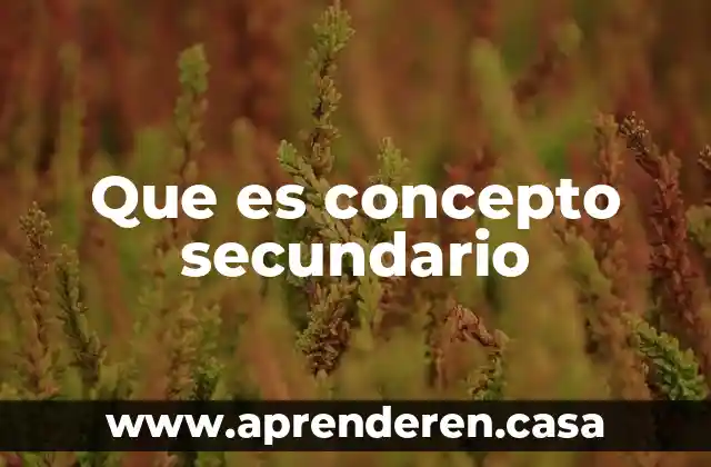Que es concepto secundario