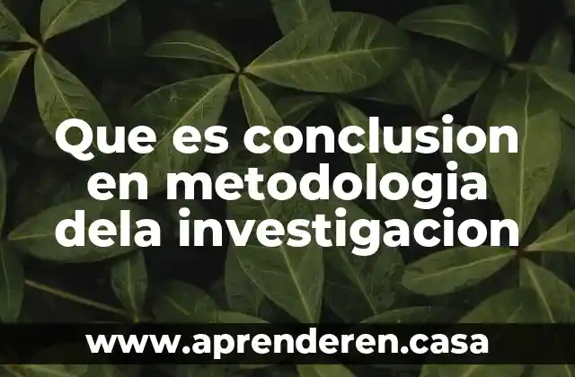 Que es conclusion en metodologia dela investigacion