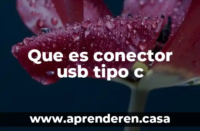 Tripligan c para que es 4 Que es conector usb tipo c