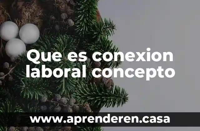 Que es conexion laboral concepto